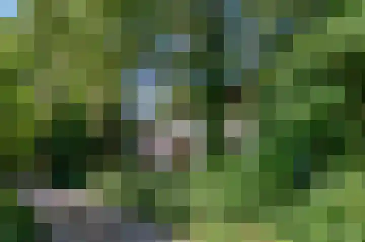 Schatkuilsestraat 4 Overasselt thumbnail 5