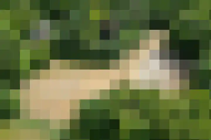 Schatkuilsestraat 4 Overasselt thumbnail 51