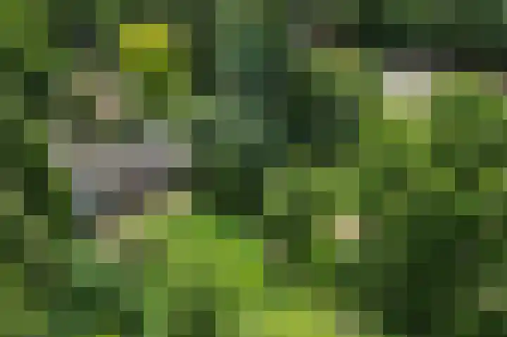 Schatkuilsestraat 4 Overasselt thumbnail 53