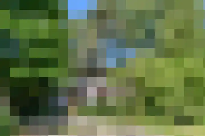 Schatkuilsestraat 4 Overasselt thumbnail 8