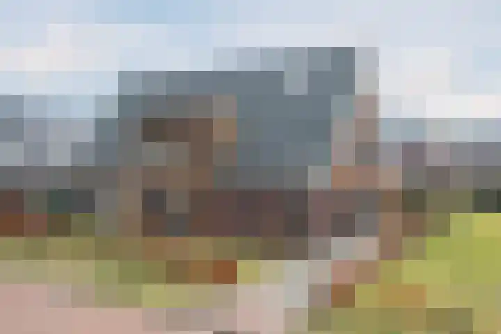 Schatland 6 Norg