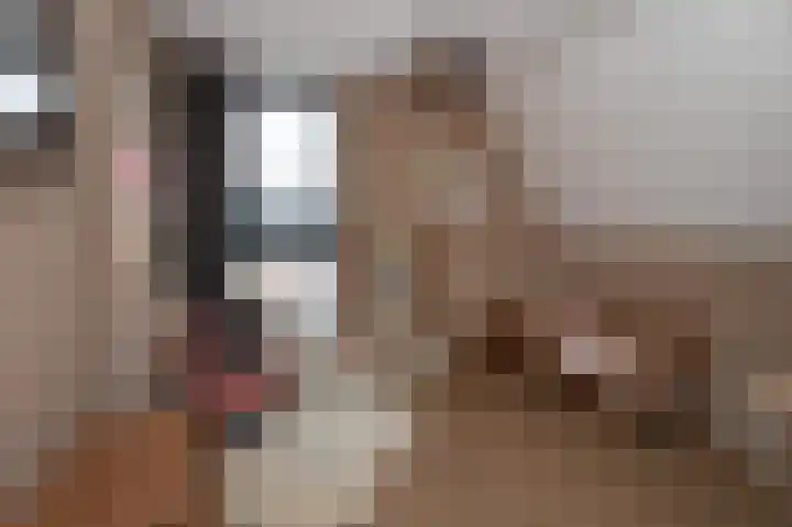 Schatland 6 Norg thumbnail 30