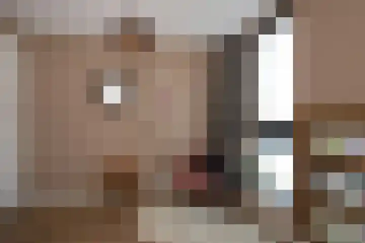 Schatland 6 Norg thumbnail 31