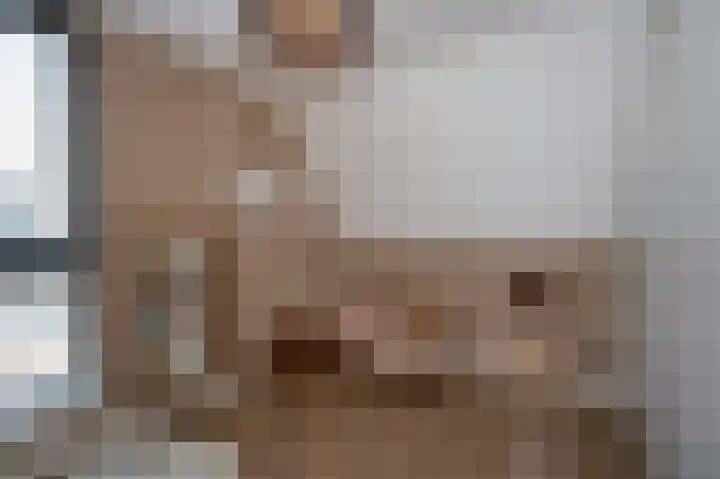 Schatland 6 Norg thumbnail 32
