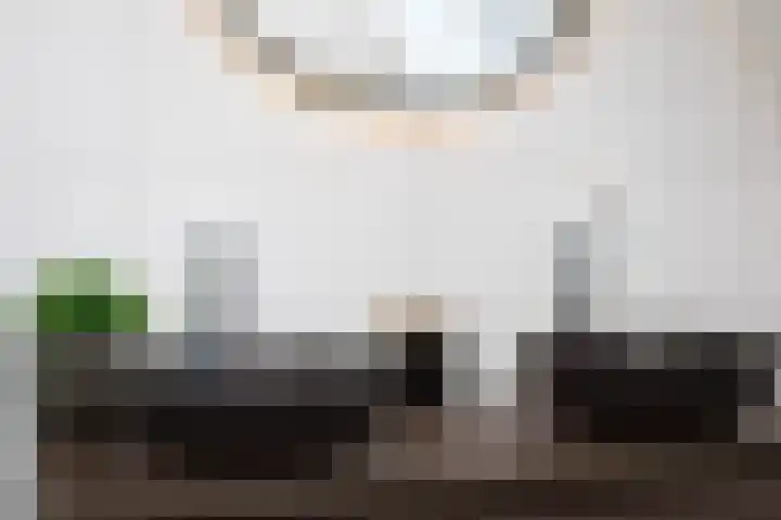 Schatland 6 Norg thumbnail 35