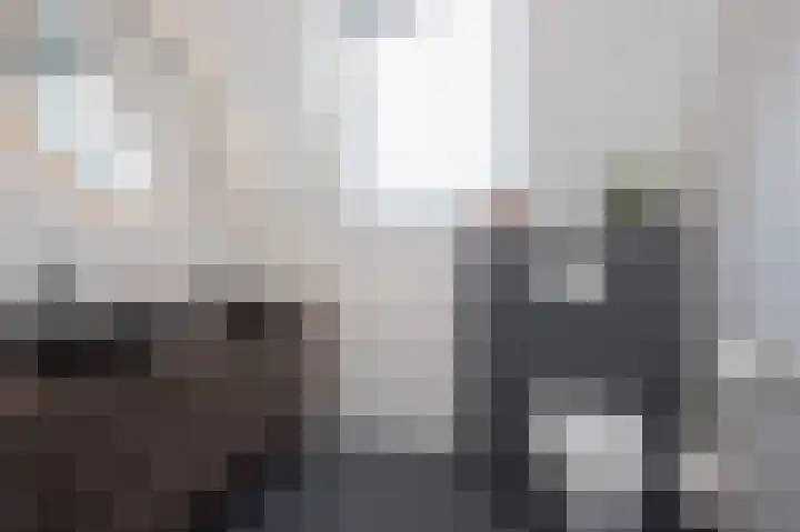 Schatland 6 Norg thumbnail 38