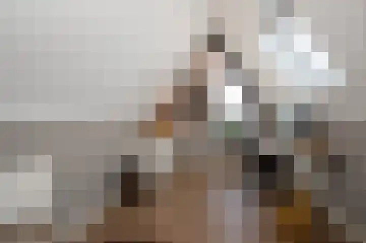 Schatland 6 Norg thumbnail 39