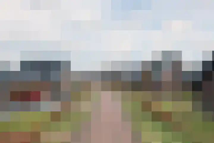Schatland 6 Norg thumbnail 45