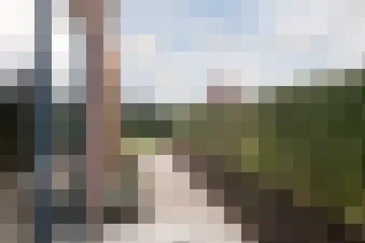 Schatland 6 Norg thumbnail 47