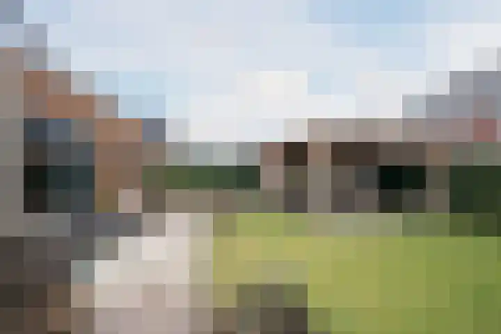 Schatland 6 Norg thumbnail 50