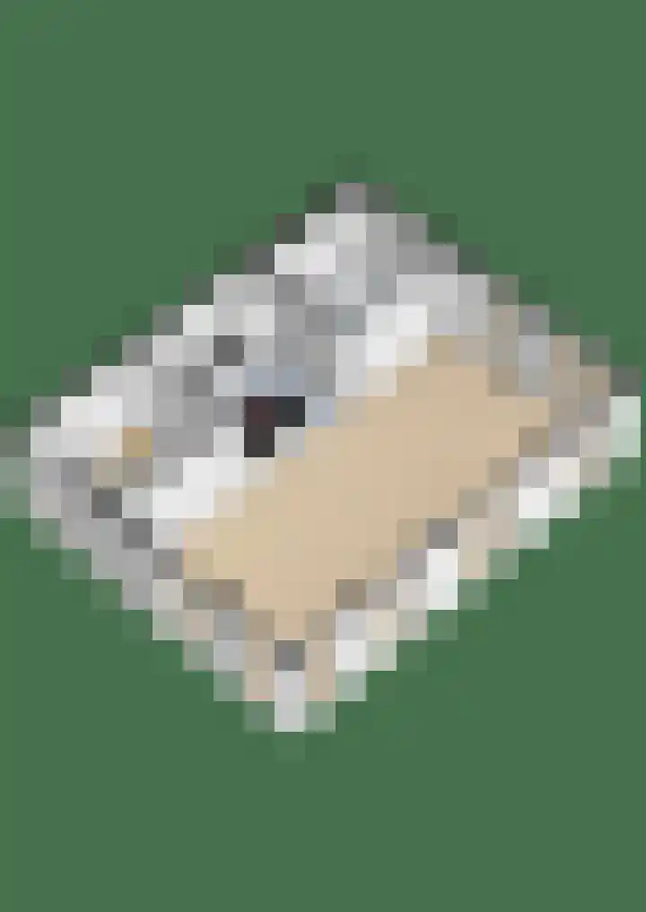 Schatland 6 Norg thumbnail 62