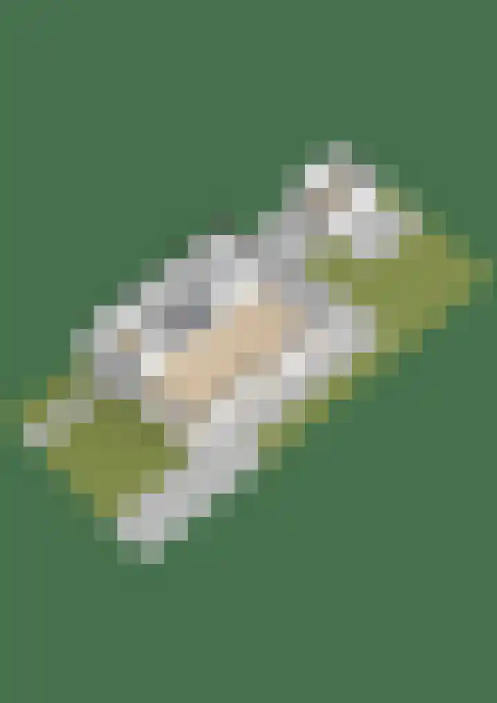 Schatland 6 Norg thumbnail 66