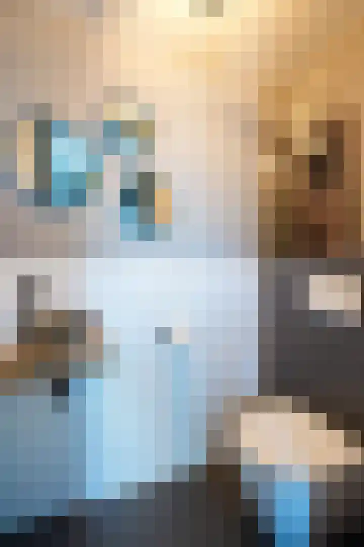 Schatland 6 Norg thumbnail 8
