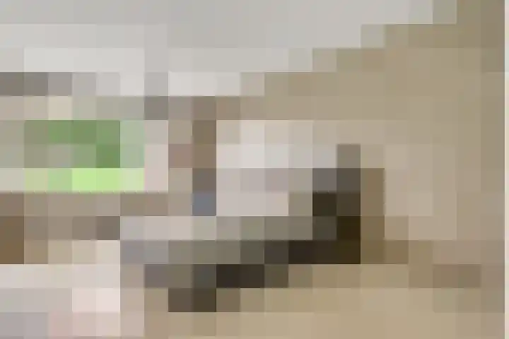 Schatsberg 5 Oirsbeek thumbnail 14