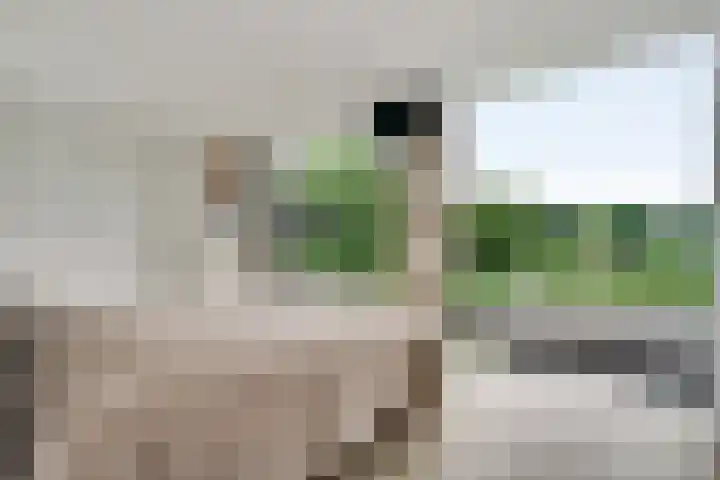Schatsberg 5 Oirsbeek thumbnail 21