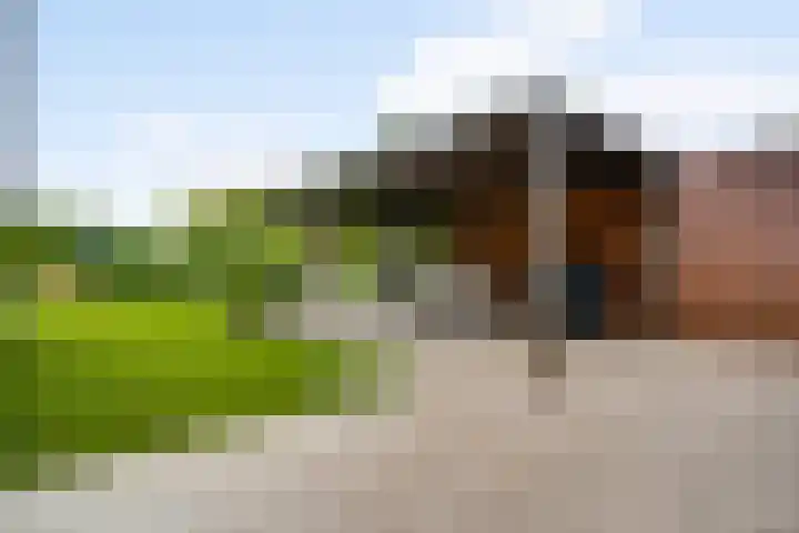 Schatsberg 5 Oirsbeek thumbnail 28