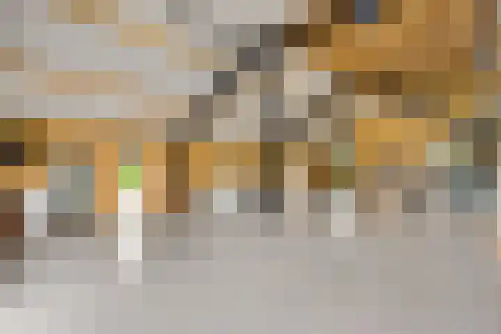 Schatsberg 5 Oirsbeek thumbnail 36