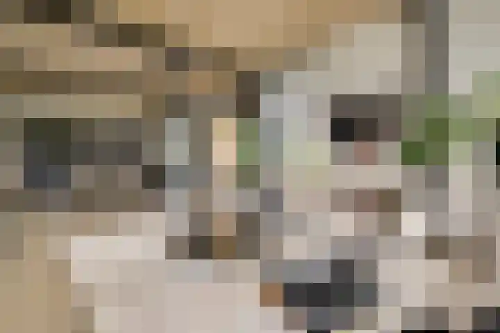 Schatsberg 5 Oirsbeek thumbnail 7