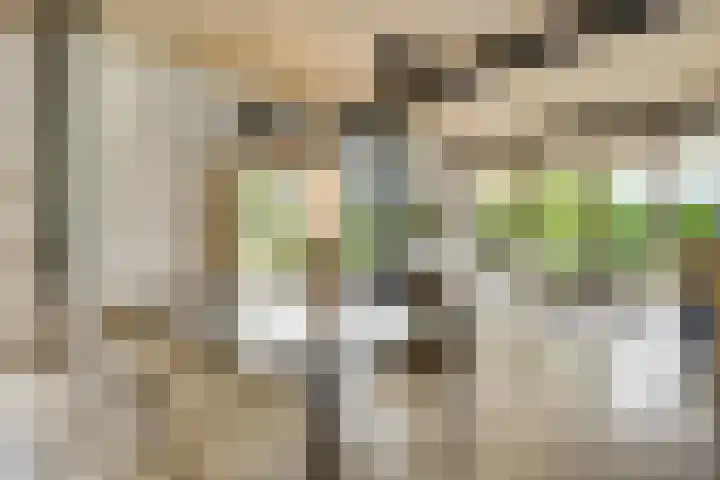 Schatsberg 5 Oirsbeek thumbnail 8