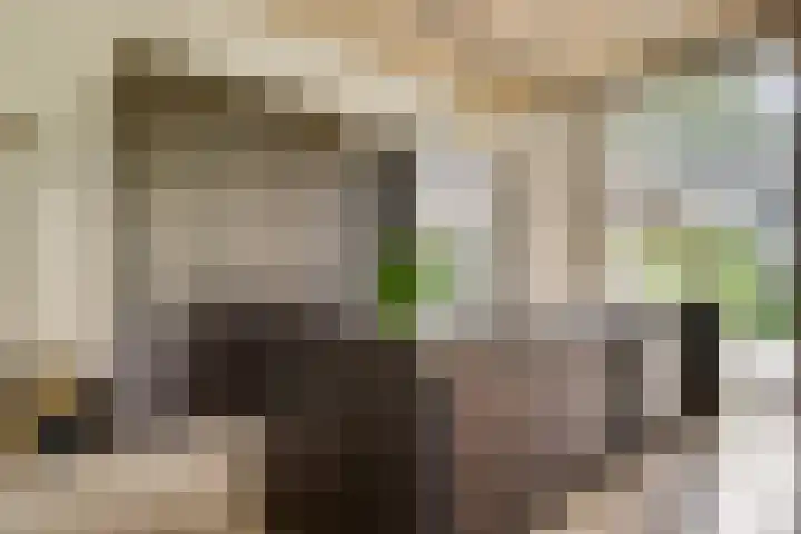 Schatsberg 5 Oirsbeek thumbnail 9