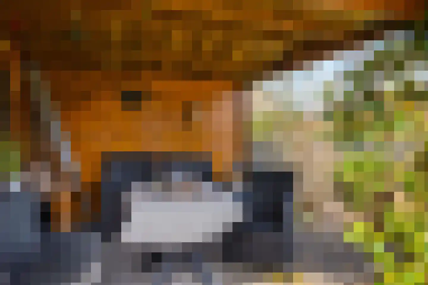 Schatstuk 4 Haren Gn thumbnail 16