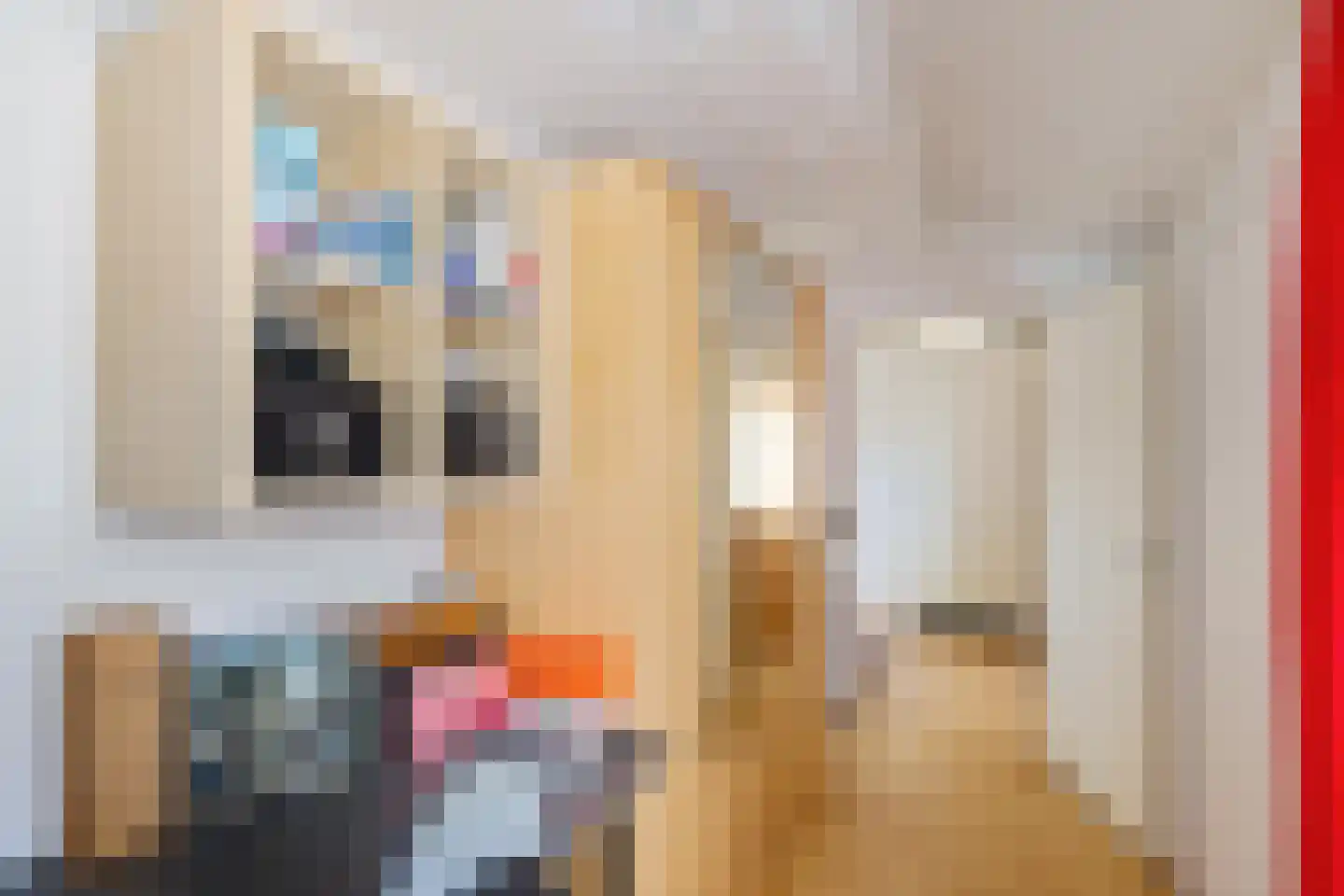 Schatstuk 4 Haren Gn thumbnail 35