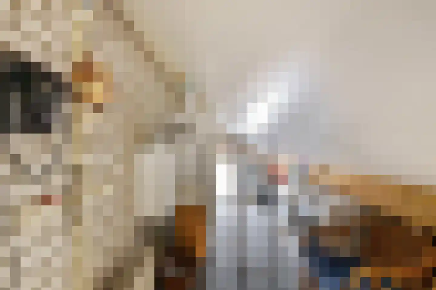 Schatstuk 4 Haren Gn thumbnail 39