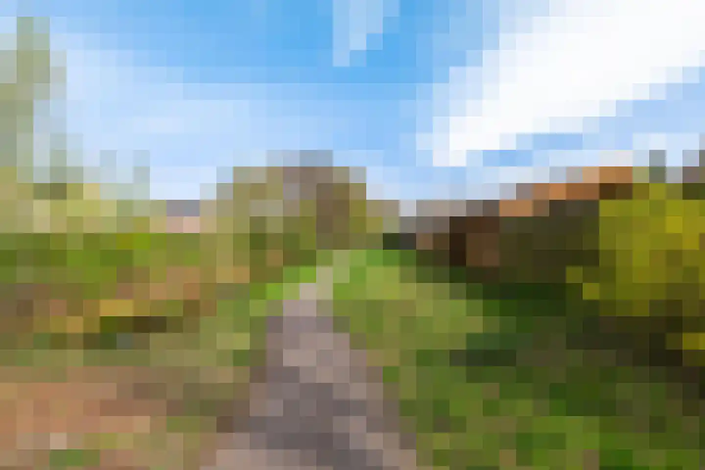 Schatstuk 4 Haren Gn thumbnail 43