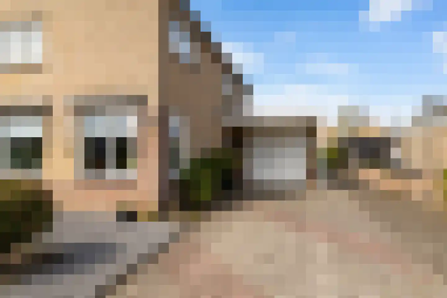 Schatstuk 4 Haren Gn thumbnail 8