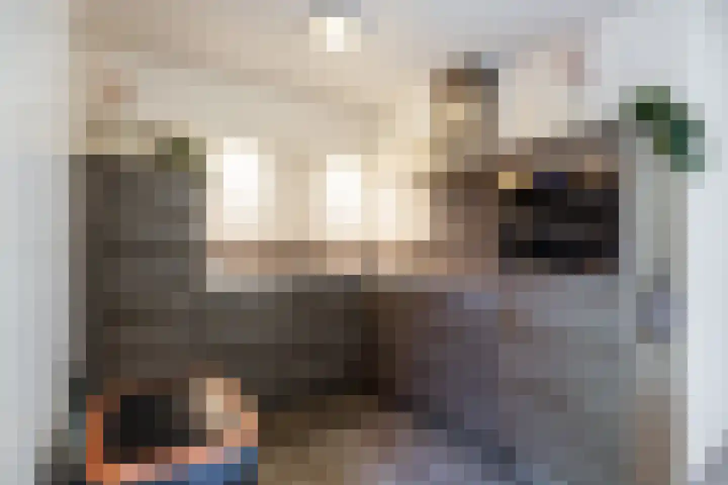 Schattersum 39 Schildwolde thumbnail 21