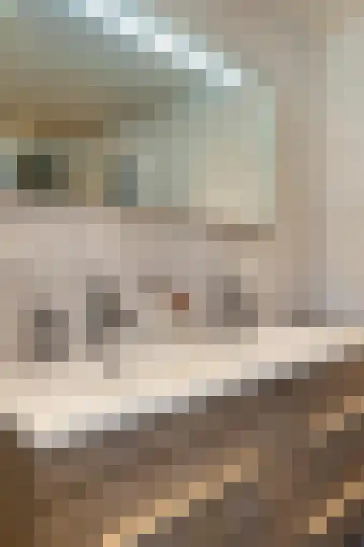 Schattersum 39 Schildwolde thumbnail 30