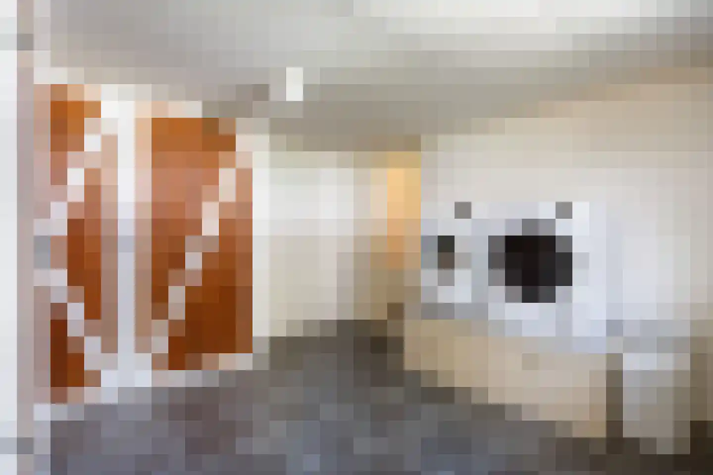 Schattersum 39 Schildwolde thumbnail 32