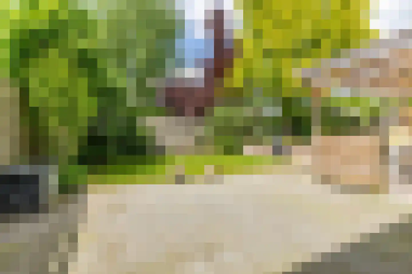 Schattersum 39 Schildwolde thumbnail 40