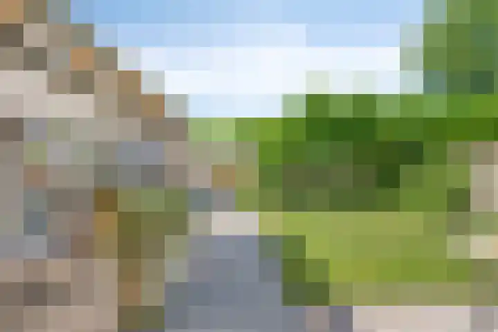 Schattersum 39 Schildwolde thumbnail 41