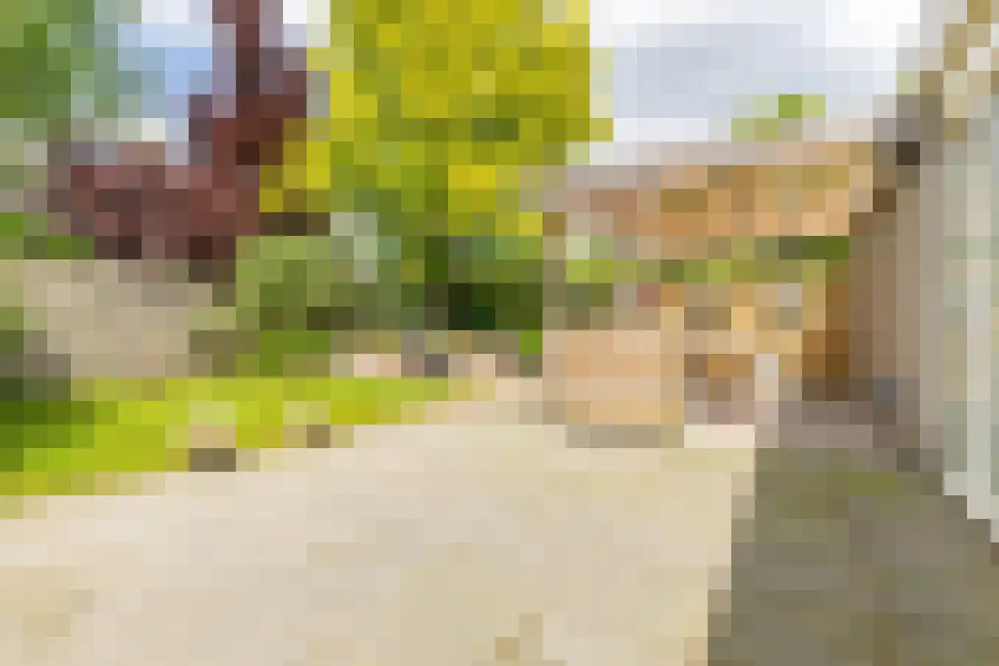 Schattersum 39 Schildwolde thumbnail 41