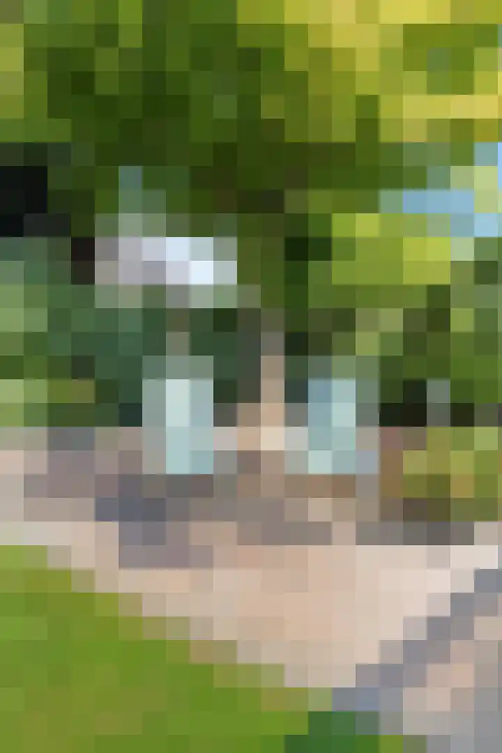 Schattersum 39 Schildwolde thumbnail 42