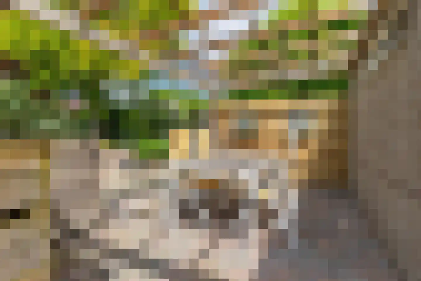 Schattersum 39 Schildwolde thumbnail 44
