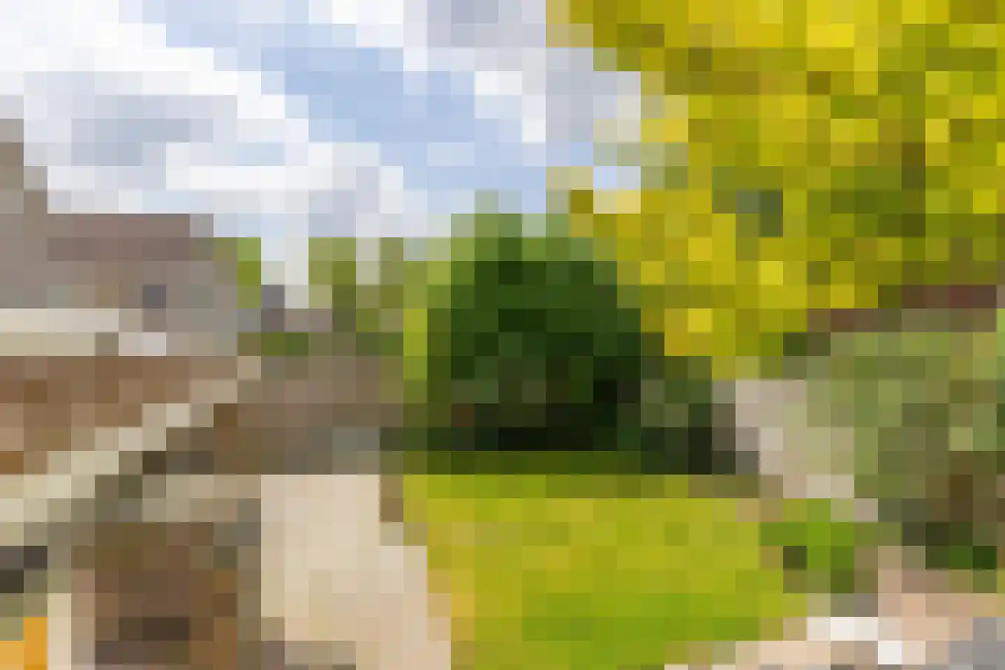Schattersum 39 Schildwolde thumbnail 46