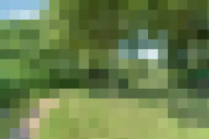Schattersum 39 Schildwolde thumbnail 46