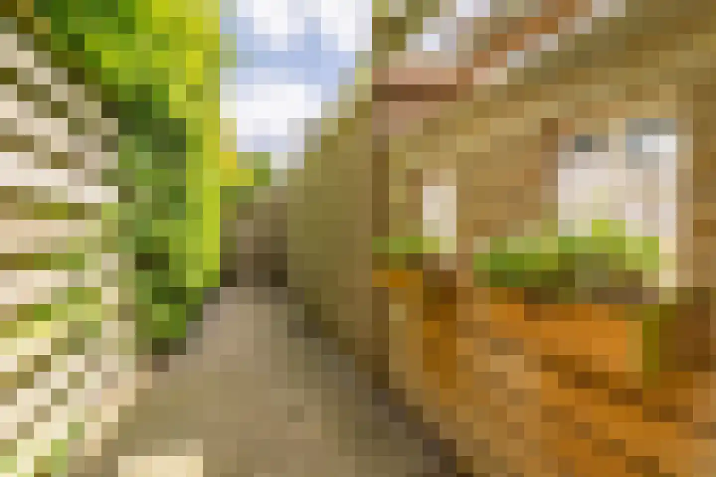 Schattersum 39 Schildwolde thumbnail 47