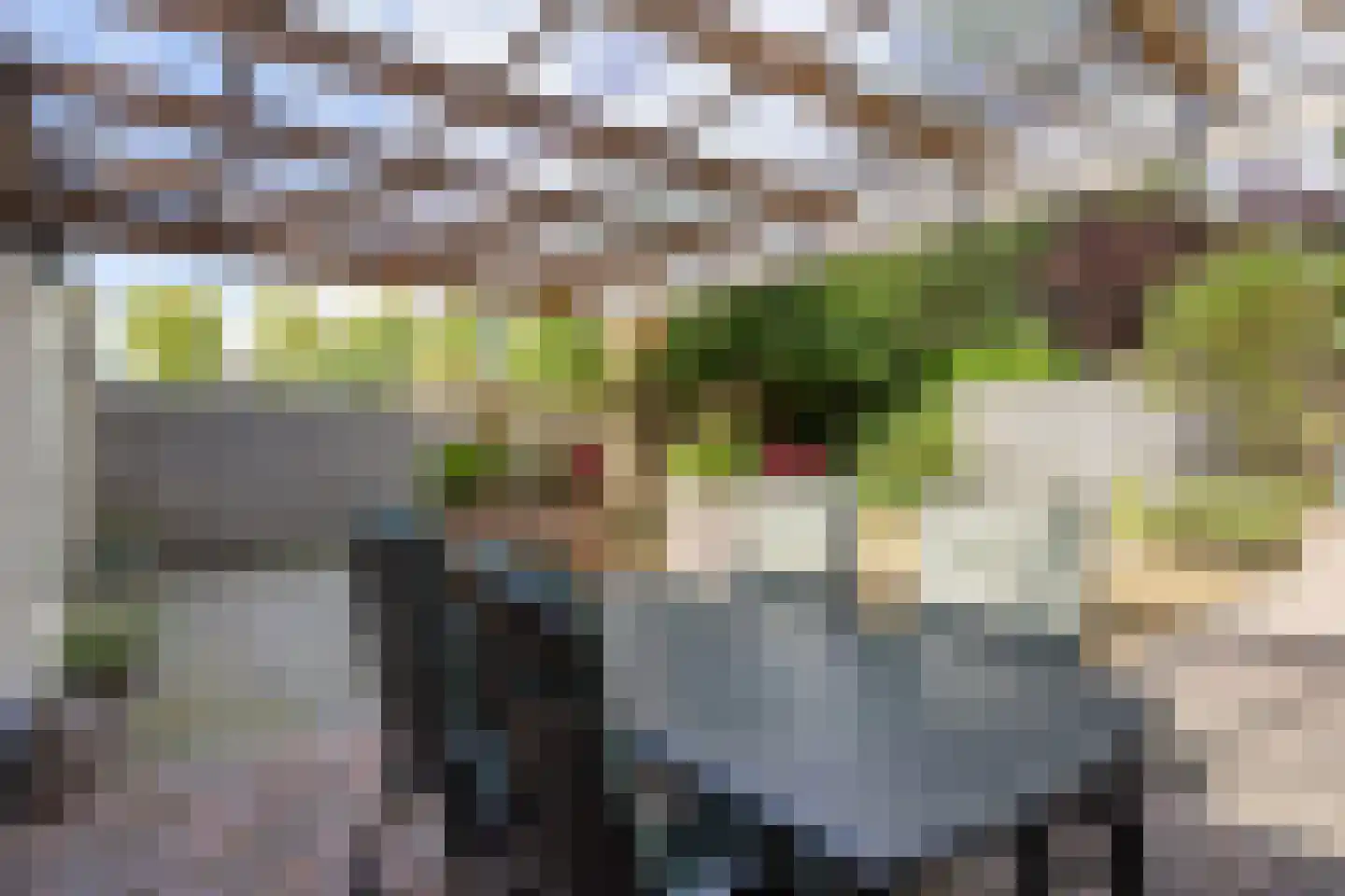 Schattersum 39 Schildwolde thumbnail 55