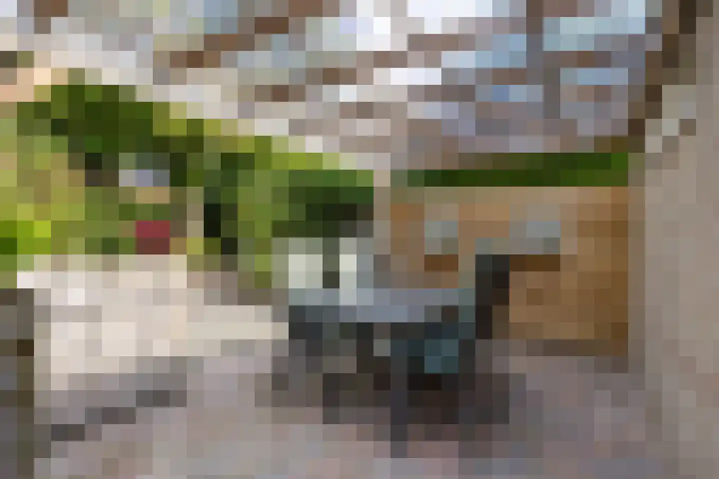 Schattersum 39 Schildwolde thumbnail 56