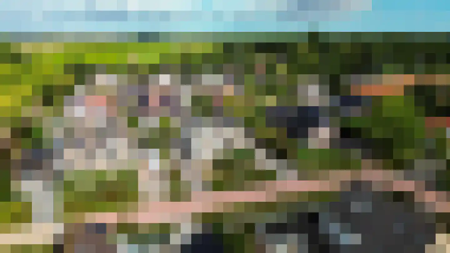 Schattersum 39 Schildwolde thumbnail 63
