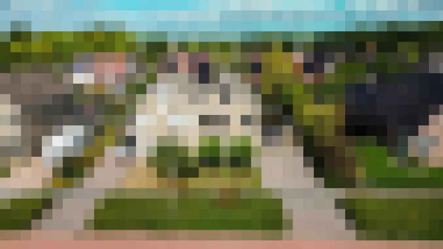 Schattersum 39 Schildwolde thumbnail 65