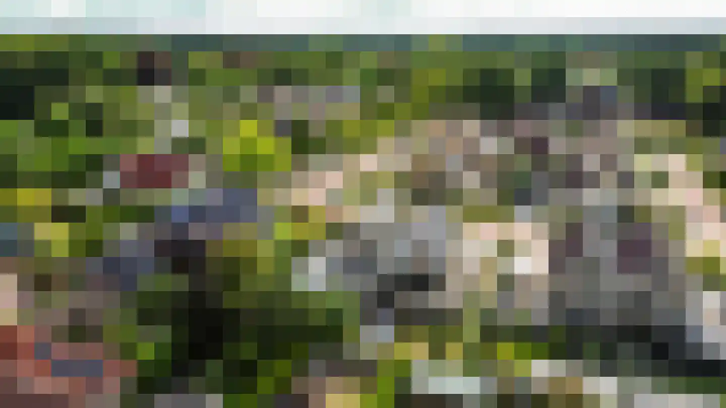 Schattersum 39 Schildwolde thumbnail 66