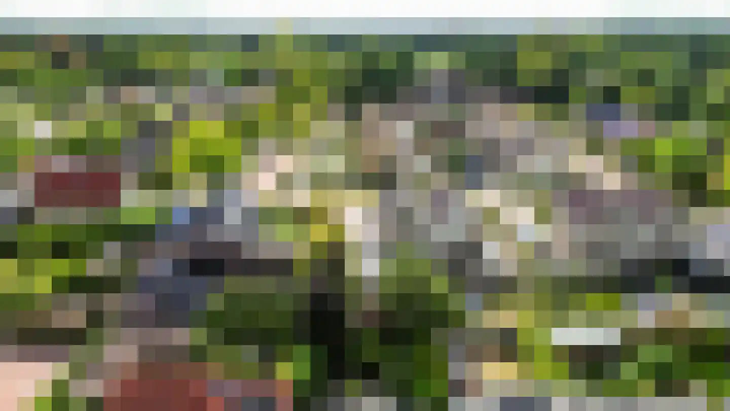 Schattersum 39 Schildwolde thumbnail 67