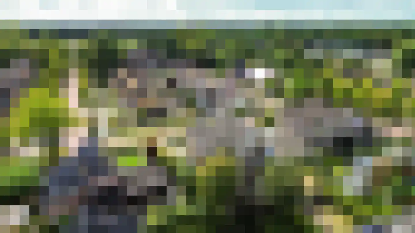 Schattersum 39 Schildwolde thumbnail 68