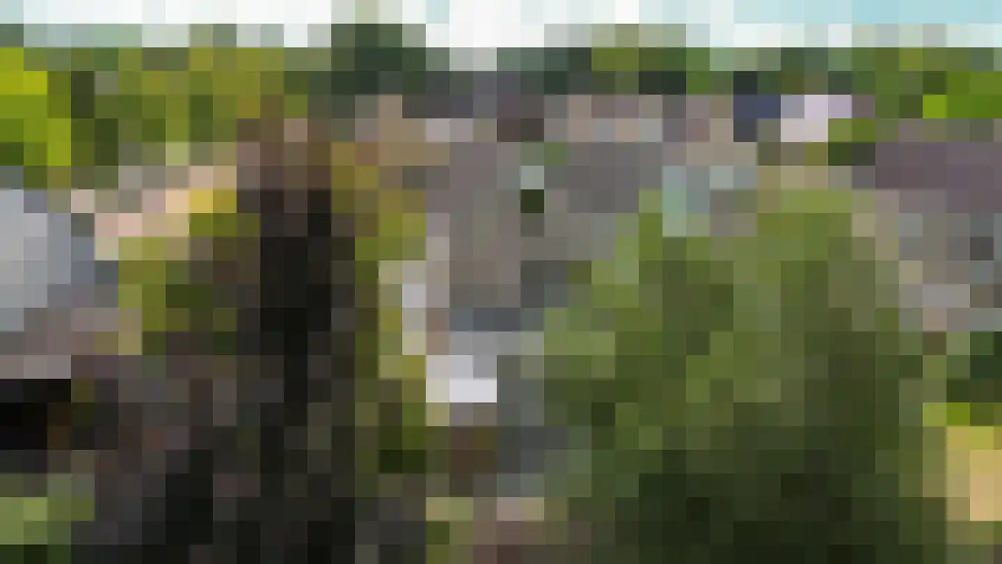 Schattersum 39 Schildwolde thumbnail 69