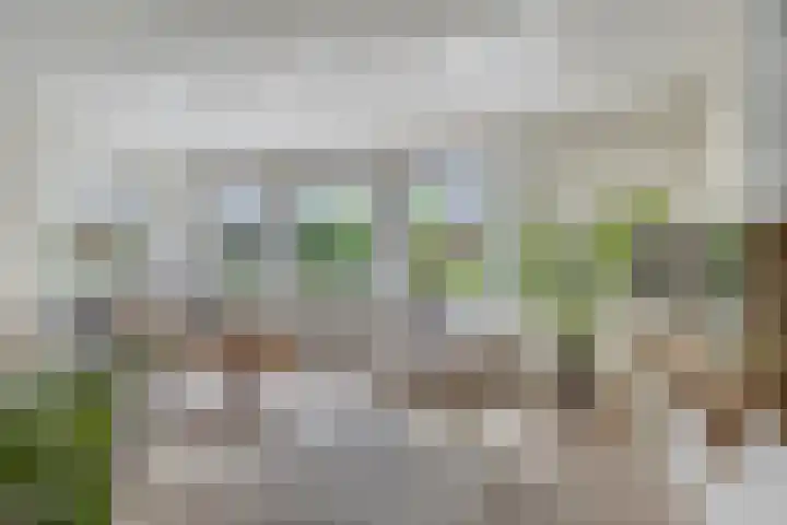 Schattersum 39 Schildwolde thumbnail 9