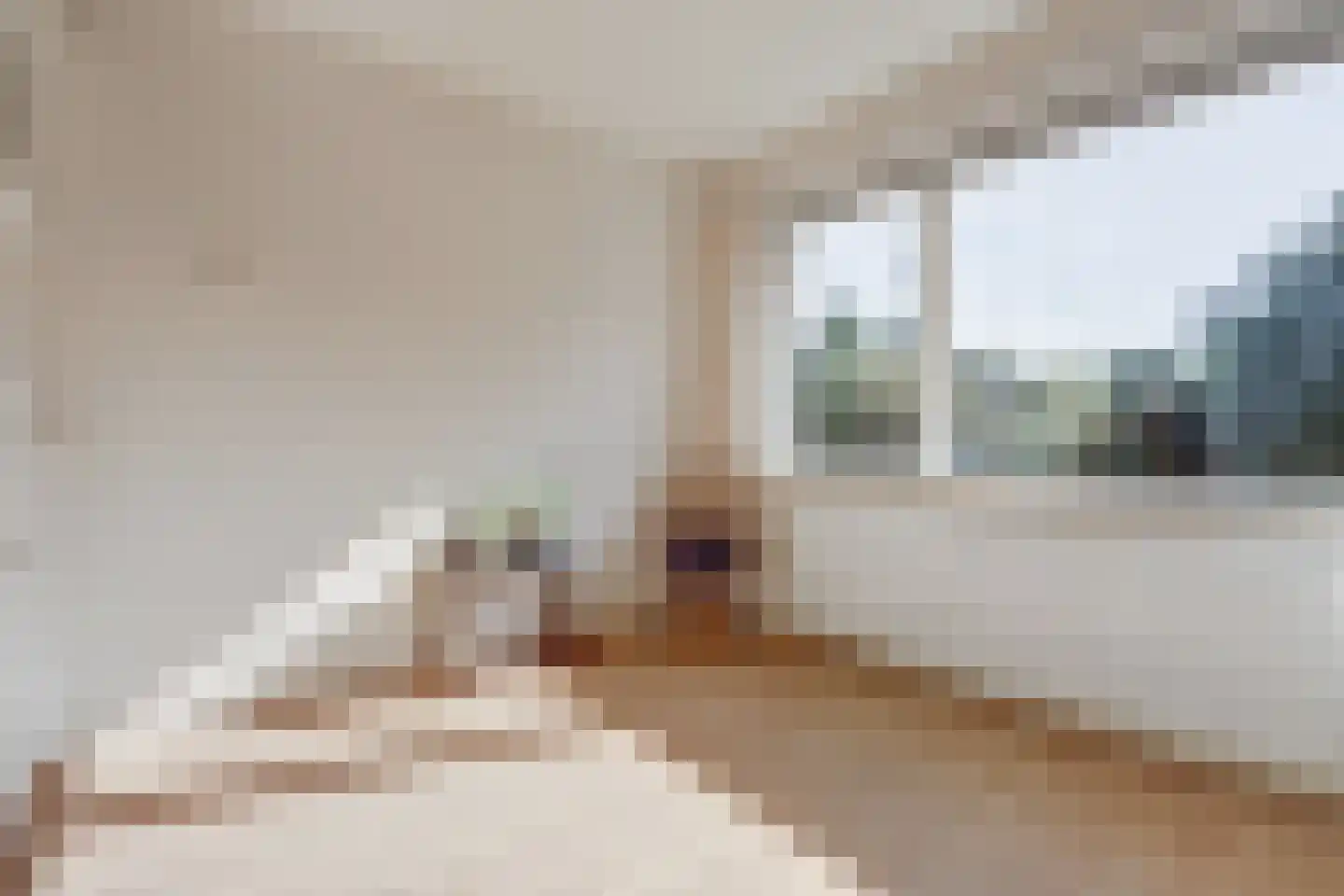 Schavenmolenstraat 49 Arnhem thumbnail 37